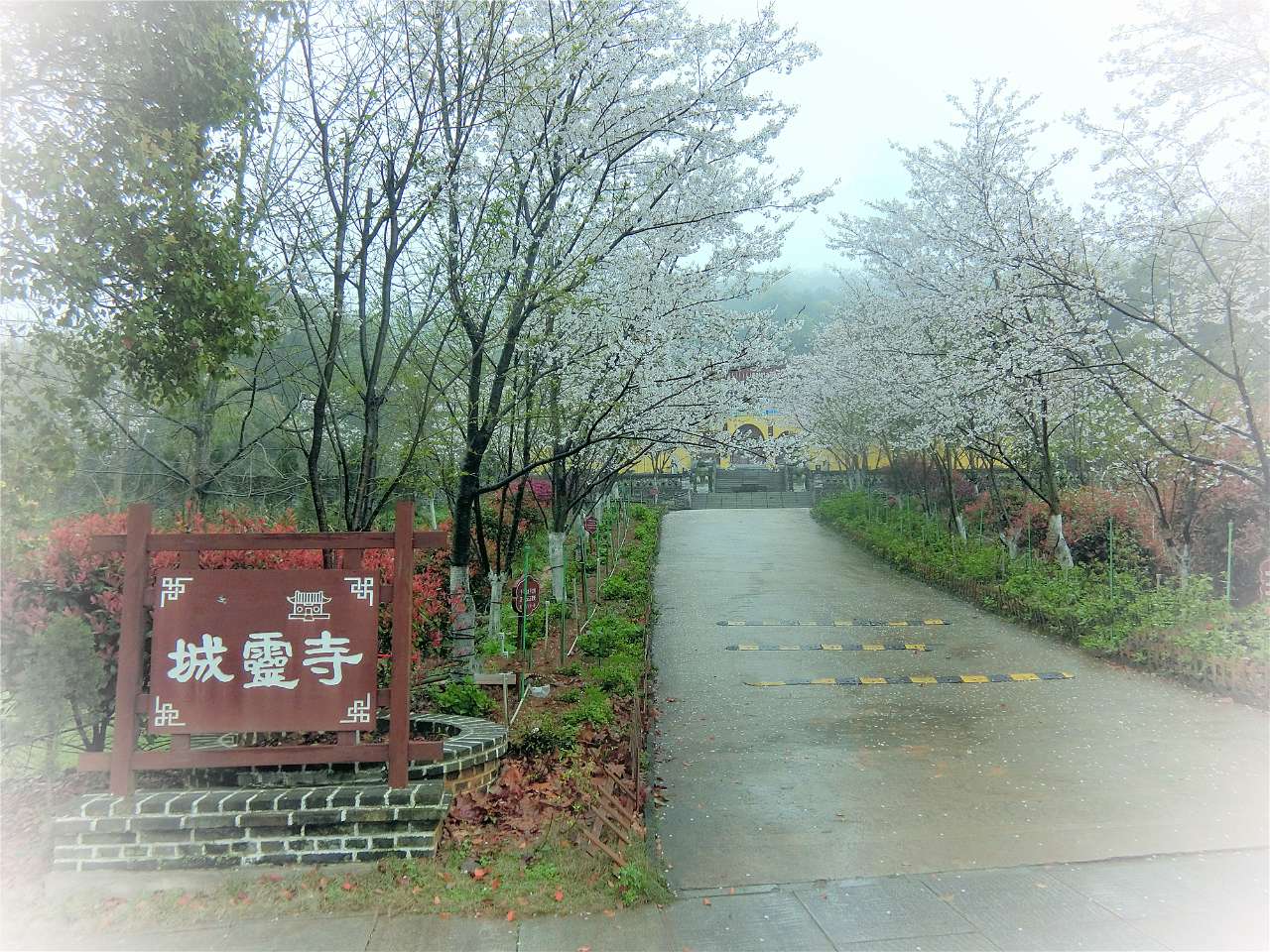 九江城灵寺图片