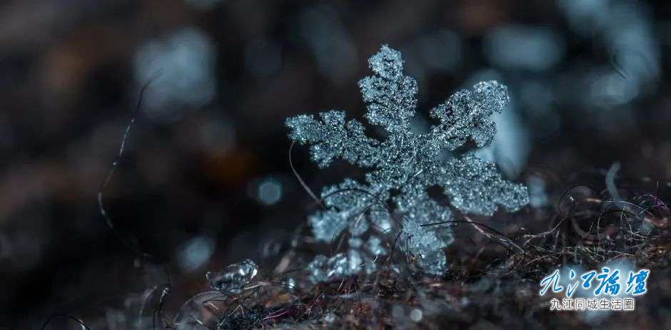 -3℃！强冷空气来袭，九江接下来天气……